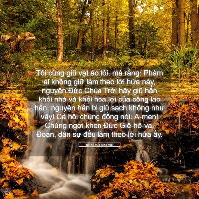 Picture 05 - Nê-hê-mi-a 5:13 VIE - Tôi cũng giũ vạt áo tôi, mà rằng: Phàm - Bible Verse Picture