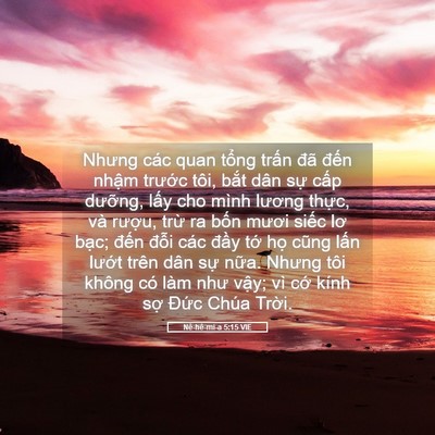 Picture 05 - Nê-hê-mi-a 5:15 VIE - Nhưng các quan tổng trấn đã đến nhậm - Bible Verse Picture