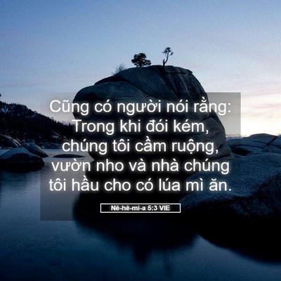 Picture 05 - Nê-hê-mi-a 5:3 VIE - Cũng có người nói rằng: Trong khi đói - Bible Verse Picture