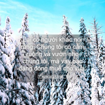 Picture 05 - Nê-hê-mi-a 5:4 VIE - Lại có người khác nói rằng: Chúng tôi - Bible Verse Picture