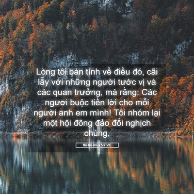 Picture 05 - Nê-hê-mi-a 5:7 VIE - Lòng tôi bàn tính về điều đó, cãi - Bible Verse Picture
