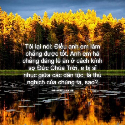 Picture 05 - Nê-hê-mi-a 5:9 VIE - Tôi lại nói: Điều anh em làm chẳng - Bible Verse Picture