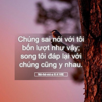 Picture 05 - Nê-hê-mi-a 6:4 VIE - Chúng sai nói với tôi bốn lượt như - Bible Verse Picture