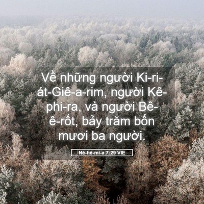 Picture 05 - Nê-hê-mi-a 7:29 VIE - Về những người Ki-ri-át-Giê-a-rim, - Bible Verse Picture