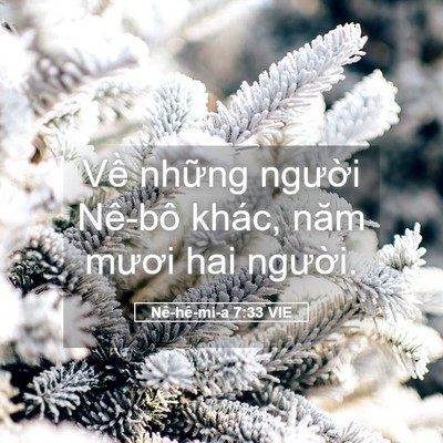 Picture 05 - Nê-hê-mi-a 7:33 VIE - Về những người Nê-bô khác, năm mươi - Bible Verse Picture