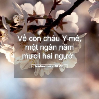 Picture 05 - Nê-hê-mi-a 7:40 VIE - Về con cháu Y-mê, một ngàn năm mươi hai - Bible Verse Picture