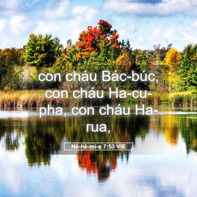 Picture 05 - Nê-hê-mi-a 7:53 VIE - con cháu Bác-búc, con cháu Ha-cu-pha, con - Bible Verse Picture
