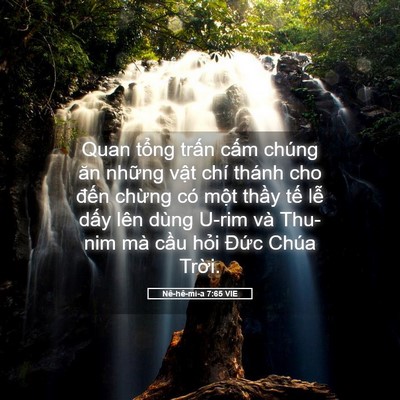 Picture 05 - Nê-hê-mi-a 7:65 VIE - Quan tổng trấn cấm chúng ăn những vật - Bible Verse Picture
