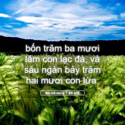 Picture 05 - Nê-hê-mi-a 7:69 VIE - bốn trăm ba mươi lăm con lạc đà, và - Bible Verse Picture