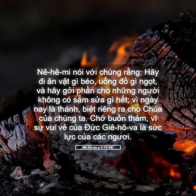 Picture 05 - Nê-hê-mi-a 8:10 VIE - Nê-hê-mi nói với chúng rằng: Hãy đi ăn - Bible Verse Picture