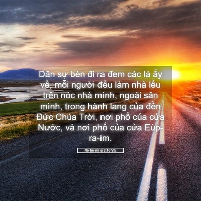 Picture 05 - Nê-hê-mi-a 8:16 VIE - Dân sự bèn đi ra đem các lá ấy về, - Bible Verse Picture