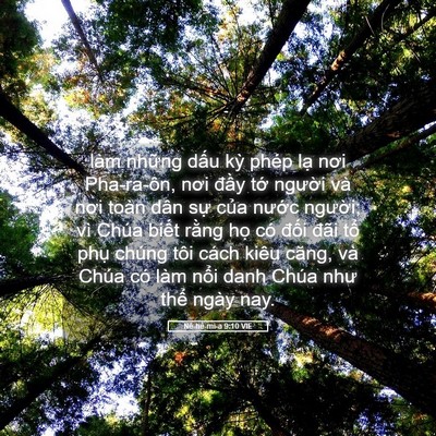 Picture 05 - Nê-hê-mi-a 9:10 VIE - làm những dấu kỳ phép lạ nơi - Bible Verse Picture