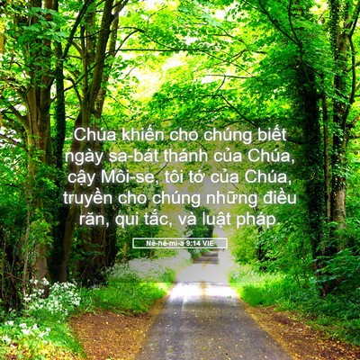 Picture 05 - Nê-hê-mi-a 9:14 VIE - Chúa khiến cho chúng biết ngày sa-bát - Bible Verse Picture