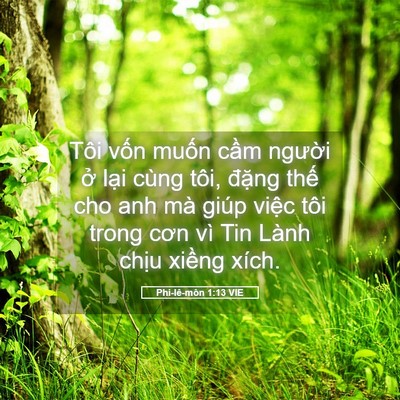 Picture 05 - Phi-lê-môn 1:13 VIE - Tôi vốn muốn cầm người ở lại cùng - Bible Verse Picture