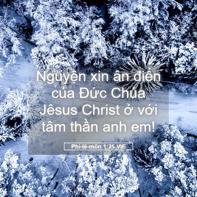 Picture 05 - Phi-lê-môn 1:25 VIE - Nguyện xin ân điển của Đức Chúa - Bible Verse Picture