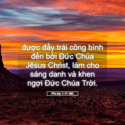 Picture 05 - Phi-líp 1:11 VIE - được đầy trái công bình đến bởi - Bible Verse Picture