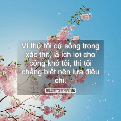 Picture 05 - Phi-líp 1:22 VIE - Ví thử tôi cứ sống trong xác thịt, là - Bible Verse Picture