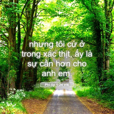 Picture 05 - Phi-líp 1:24 VIE - nhưng tôi cứ ở trong xác thịt, ấy là - Bible Verse Picture