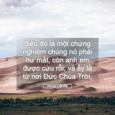 Picture 05 - Phi-líp 1:28 VIE - điều đó là một chứng nghiệm chúng - Bible Verse Picture