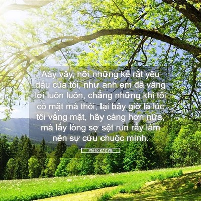 Picture 05 - Phi-líp 2:12 VIE - Aáy vậy, hỡi những kẻ rất yêu dấu - Bible Verse Picture