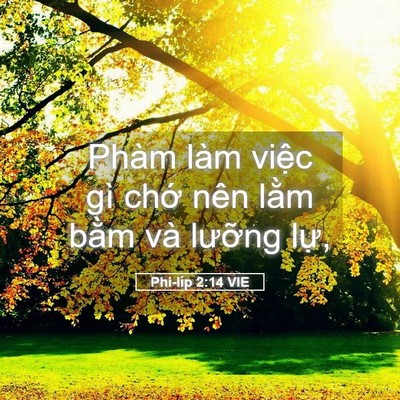 Picture 05 - Phi-líp 2:14 VIE - Phàm làm việc gì chớ nên lằm bằm và - Bible Verse Picture
