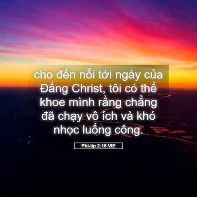 Picture 05 - Phi-líp 2:16 VIE - cho đến nỗi tới ngày của Đấng - Bible Verse Picture