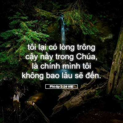Picture 05 - Phi-líp 2:24 VIE - tôi lại có lòng trông cậy nầy trong - Bible Verse Picture