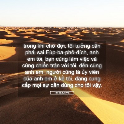 Picture 05 - Phi-líp 2:25 VIE - trong khi chờ đợi, tôi tưởng cần - Bible Verse Picture