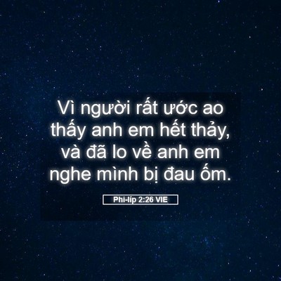 Picture 05 - Phi-líp 2:26 VIE - Vì người rất ước ao thấy anh em hết - Bible Verse Picture
