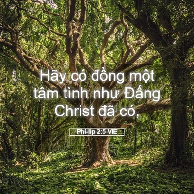 Picture 05 - Phi-líp 2:5 VIE - Hãy có đồng một tâm tình như Đấng - Bible Verse Picture