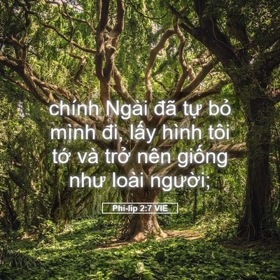 Picture 05 - Phi-líp 2:7 VIE - chính Ngài đã tự bỏ mình đi, lấy - Bible Verse Picture