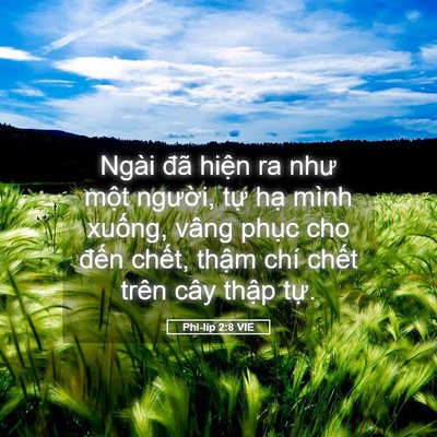 Picture 05 - Phi-líp 2:8 VIE - Ngài đã hiện ra như một người, tự - Bible Verse Picture