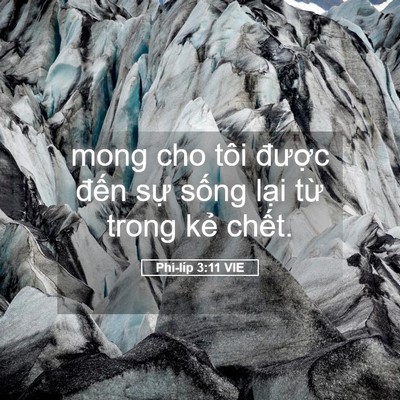 Picture 05 - Phi-líp 3:11 VIE - mong cho tôi được đến sự sống lại - Bible Verse Picture