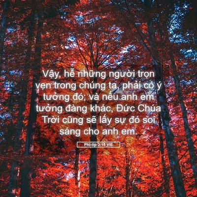 Picture 05 - Phi-líp 3:15 VIE - Vậy, hễ những người trọn vẹn trong - Bible Verse Picture