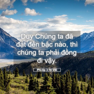 Picture 05 - Phi-líp 3:16 VIE - Duy Chúng ta đã đạt đến bậc nào, thì - Bible Verse Picture