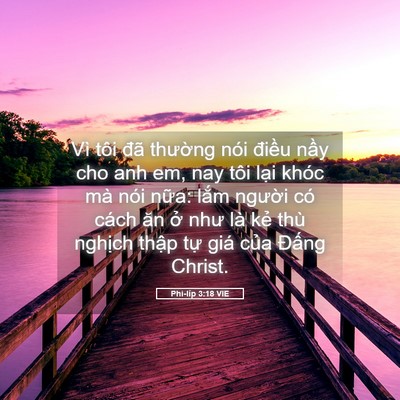 Picture 05 - Phi-líp 3:18 VIE - Vì tôi đã thường nói điều nầy cho - Bible Verse Picture