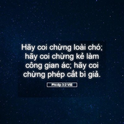 Picture 05 - Phi-líp 3:2 VIE - Hãy coi chừng loài chó; hãy coi chừng - Bible Verse Picture