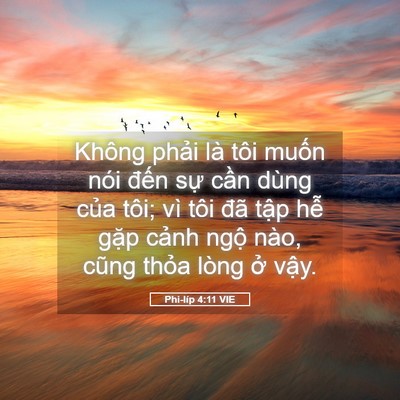 Picture 05 - Phi-líp 4:11 VIE - Không phải là tôi muốn nói đến sự - Bible Verse Picture