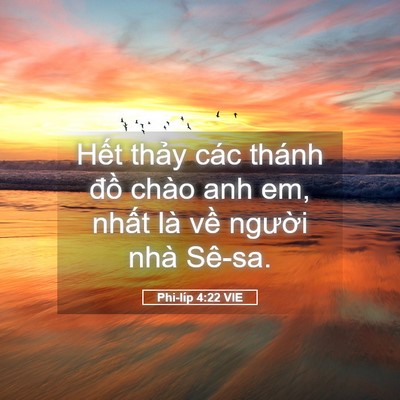 Picture 05 - Phi-líp 4:22 VIE - Hết thảy các thánh đồ chào anh em, - Bible Verse Picture