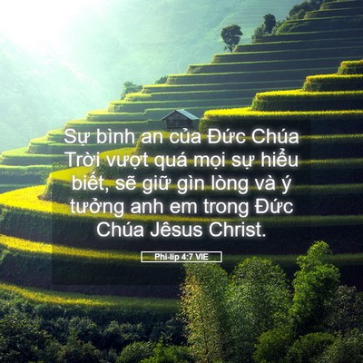 Picture 05 - Phi-líp 4:7 VIE - Sự bình an của Đức Chúa Trời vượt - Bible Verse Picture