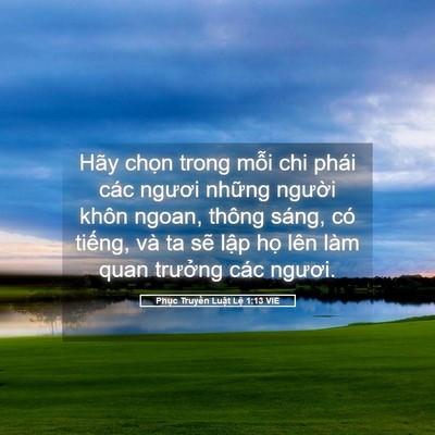 Picture 05 - Phục Truyền Luật Lệ 1:13 VIE - Hãy chọn trong mỗi chi phái các ngươi - Bible Verse Picture