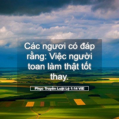 Picture 05 - Phục Truyền Luật Lệ 1:14 VIE - Các ngươi có đáp rằng: Việc người - Bible Verse Picture