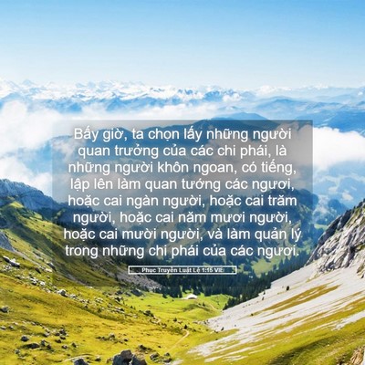 Picture 05 - Phục Truyền Luật Lệ 1:15 VIE - Bấy giờ, ta chọn lấy những người - Bible Verse Picture