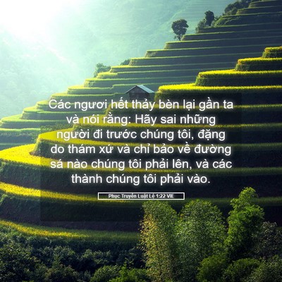 Picture 05 - Phục Truyền Luật Lệ 1:22 VIE - Các ngươi hết thảy bèn lại gần ta và - Bible Verse Picture