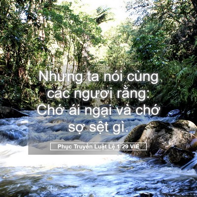 Picture 05 - Phục Truyền Luật Lệ 1:29 VIE - Nhưng ta nói cùng các ngươi rằng: Chớ - Bible Verse Picture