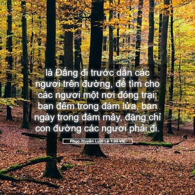 Picture 05 - Phục Truyền Luật Lệ 1:33 VIE - là Đấng đi trước dẫn các ngươi trên - Bible Verse Picture