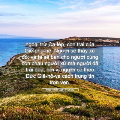 Picture 05 - Phục Truyền Luật Lệ 1:36 VIE - ngoại trừ Ca-lép, con trai của - Bible Verse Picture