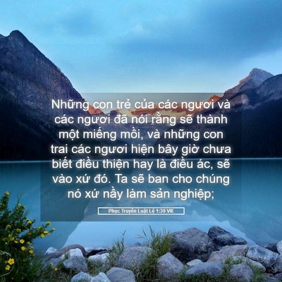 Picture 05 - Phục Truyền Luật Lệ 1:39 VIE - Những con trẻ của các ngươi và các - Bible Verse Picture