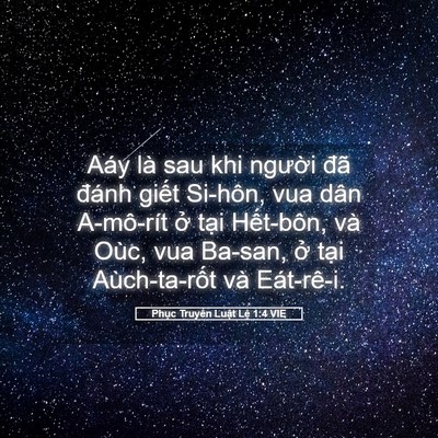 Picture 05 - Phục Truyền Luật Lệ 1:4 VIE - Aáy là sau khi người đã đánh giết - Bible Verse Picture