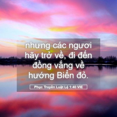 Picture 05 - Phục Truyền Luật Lệ 1:40 VIE - nhưng các ngươi hãy trở về, đi đến - Bible Verse Picture